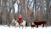 Return to the Herd-