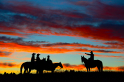 Morning Orders-