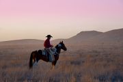 Texas Misty Morning-