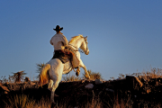 Cibolo Creek Morning-