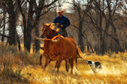 And The Chase Is On-