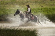 Goin Up Country-