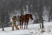 Back to Winter Pasture-