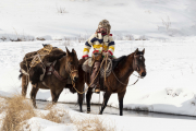 Mountain Man, Horse,  and Mule-