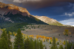 Autumn Scene In Elk Country