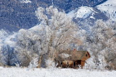 Idaho Ranch Laced in Winter