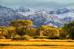 Big Lost Mountain Ranch