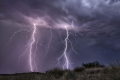 Lightning Network