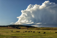 Storm Clouds On the Prairie