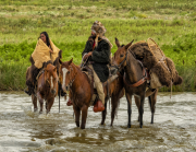 Considering The Journey