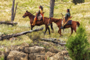 Elk Hunters